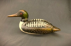 Common Loon 1/4 Sized 14'