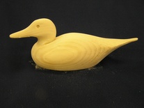 Pintail 8In