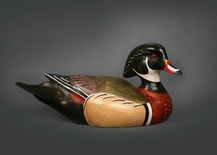 Premier Woodduck