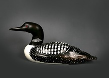 Common Loon 3/4 size