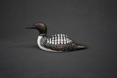 Common Loon Miniature Mouth Open 8'