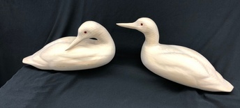 LOONS 16"